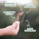 Taille cous de poulet chiens