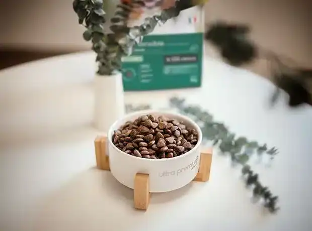 Hunde Trockenfutter Ultra Premium Direct