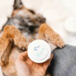 Vet Expert Paw Protection Chien