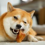Kauartikel für Hunde