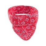 Aqua Coolkeeper Red Western Bandana