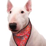 Aqua Coolkeeper Red Western Bandana Hund