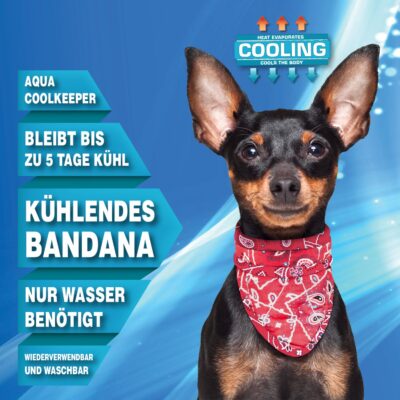 Aqua Coolkeeper Red Western Bandana Hunde