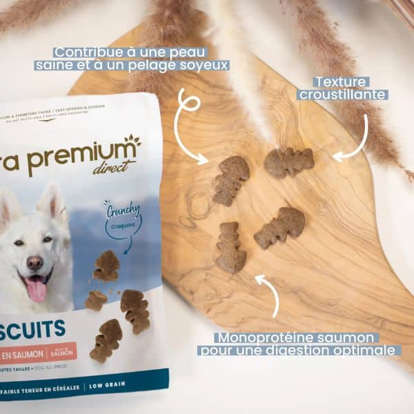 Vorteile Biscuits Hund