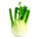 Fenchel