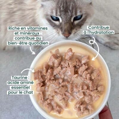 Aliment humide sans céréales