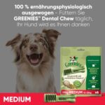 Greenies Medium_7