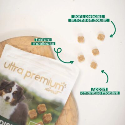 Hunde Snack Training