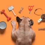 Zubehör für Hunde