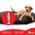 IGIEN TESSUTI no gas_8