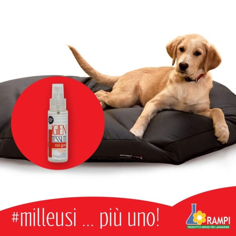 IGIEN TESSUTI no gas_8