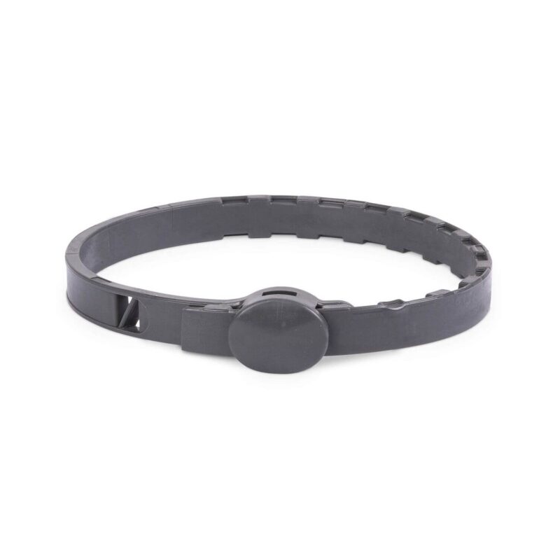 In​-​Fluence Anti​-​Collar Katze_2