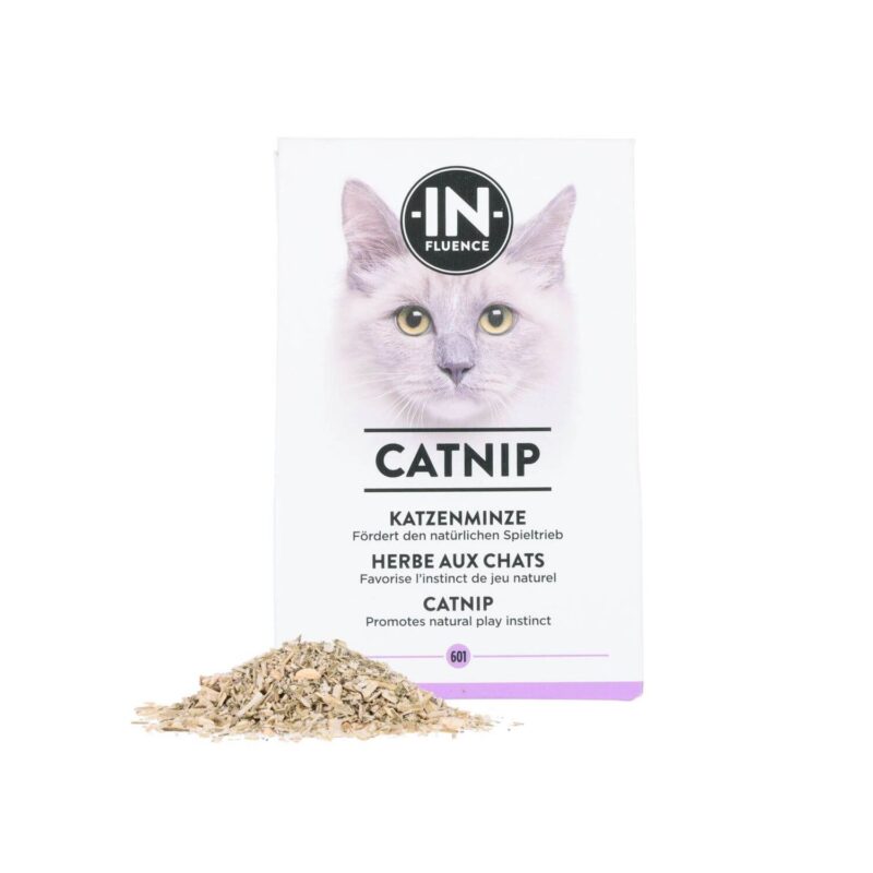 In​-​Fluence Katzenminze_2