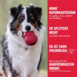 KONG Classic Vorteile