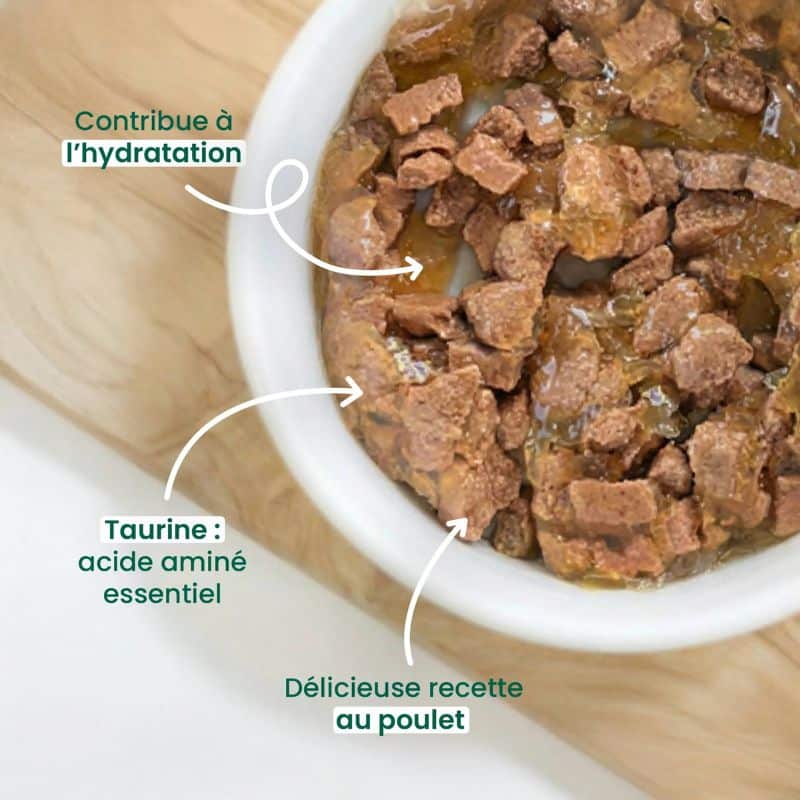 Katzen Nassfutter Huhn