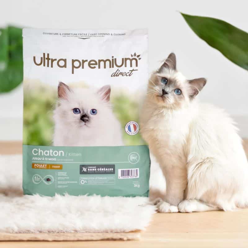 Trockenfutter fr Ktzchen getreidefrei - dadorana.ch