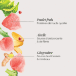 Ingrédients frais Aliment pour chiots