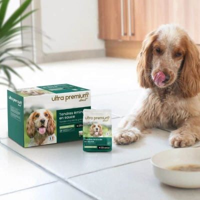 Neue Premium-Hundeleckerei in Sauce